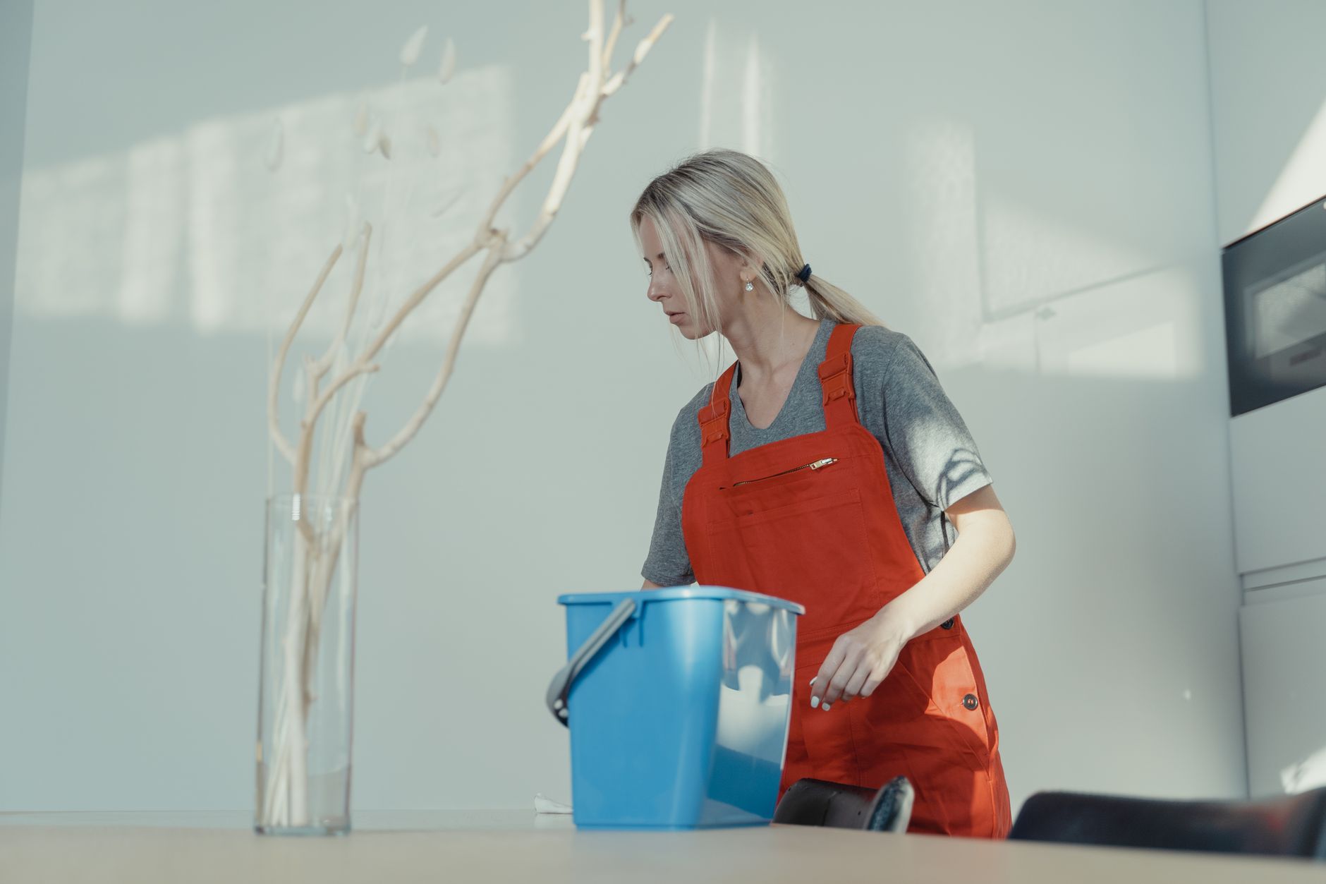 Mercado de servicios de limpieza en la ciudad de Valencia