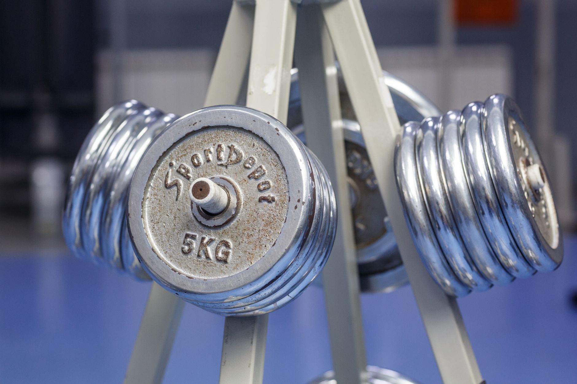 Contenidos de rutinas y nutrición para socios de gimnasio