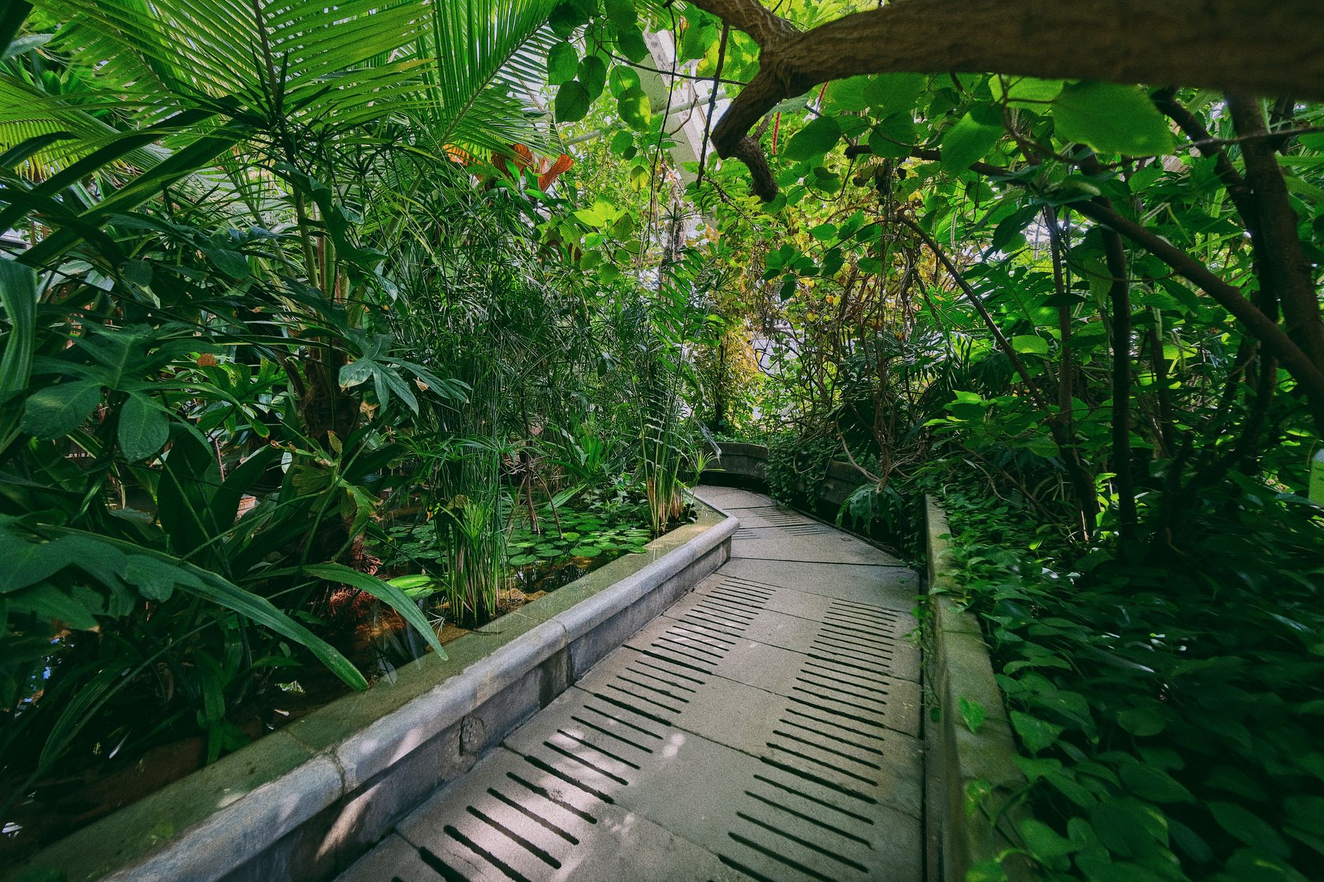 Búsqueda con inteligencia artificial y voz para servicios de jardinería