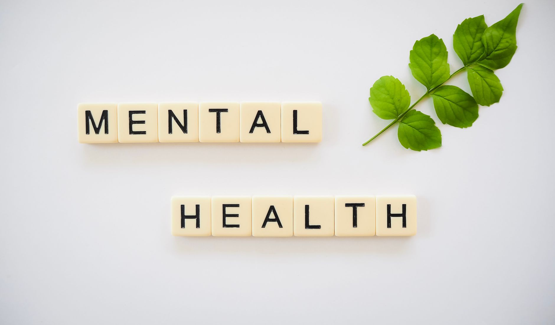 Área metropolitana de Valencia, mercado de clínicas de salud mental