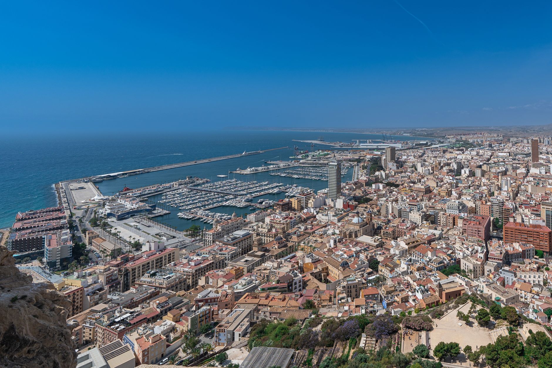 Crecimiento de negocios y empresas en Camins al Grau, Valencia