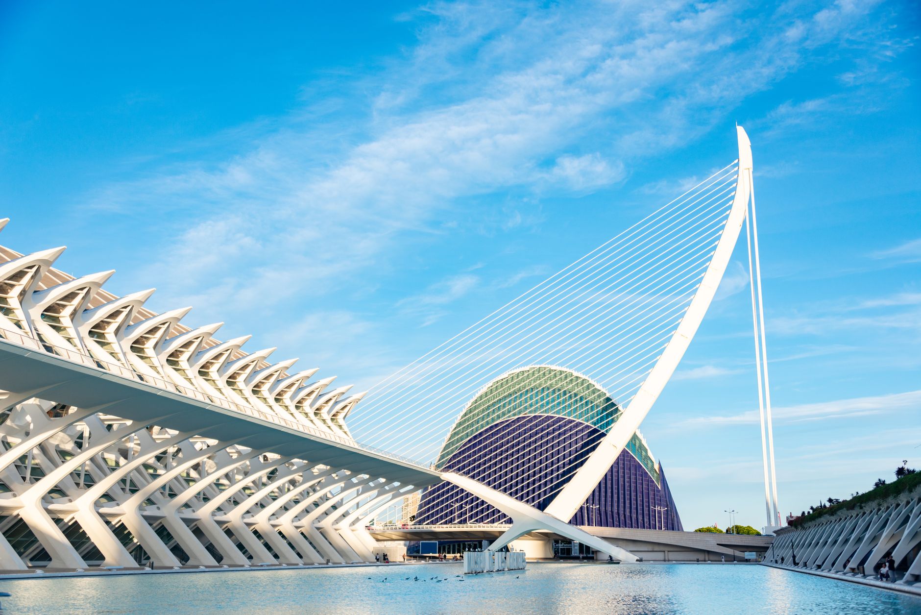 Ciudad de las Artes y las Ciencias en el distrito de Quatre Carreres, Valencia