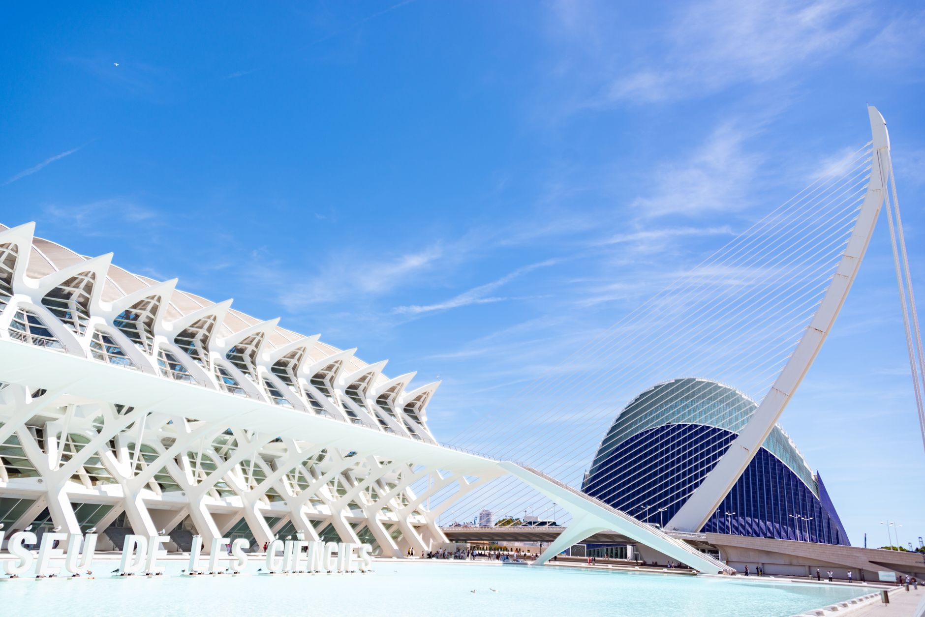 Visitantes y vida local en Quatre Carreres, cerca de la Ciudad de las Artes de Valencia