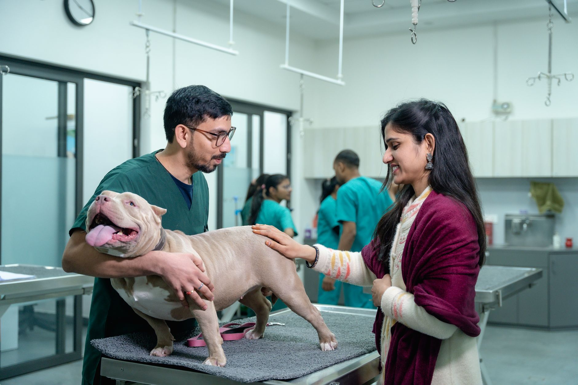 Contenido educativo sobre cuidado de mascotas para una clínica veterinaria